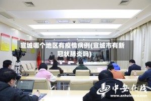 宣城哪个地区有疫情病例(宣城市有新冠状肺炎吗)