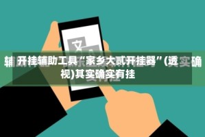 开挂辅助工具“家乡大贰开挂器”(透视)其实确实有挂