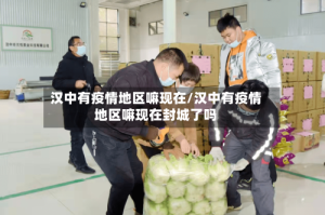 汉中有疫情地区嘛现在/汉中有疫情地区嘛现在封城了吗