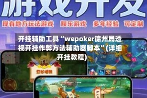 开挂辅助工具“wepoker德州局透视开挂作弊方法辅助器脚本”(详细开挂教程)
