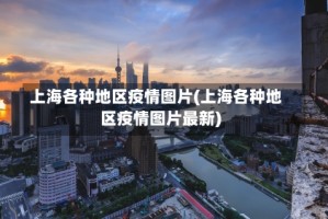 上海各种地区疫情图片(上海各种地区疫情图片最新)