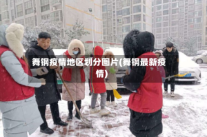 舞钢疫情地区划分图片(舞钢最新疫情)