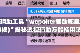 开挂辅助工具“wepoker辅助哪里买(透视)”揭秘透视辅助万能挂用法