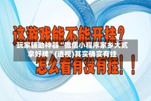 玩家辅助神器“微信小程序家乡大贰拿好牌”(透视)其实确实有挂