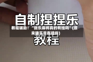 教程辅助！“微乐麻将真的有挂吗”(原来确实是有插件)