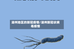 湖州地区的新冠疫情/湖州新冠状病毒疫情