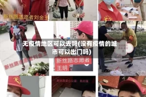 无疫情地区可以去吗(没有疫情的城市可以出门吗)