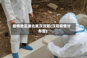 疫情地区湖北武汉汉阳(汉阳疫情分布图)
