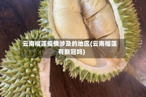 云南榴莲疫情涉及的地区(云南榴莲有新冠吗)