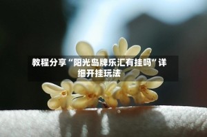 教程分享“阳光岛牌乐汇有挂吗”详细开挂玩法