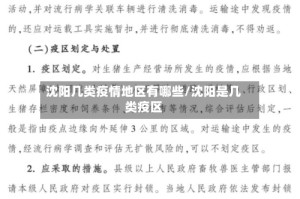 沈阳几类疫情地区有哪些/沈阳是几类疫区
