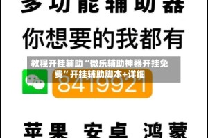 教程开挂辅助“微乐辅助神器开挂免费”开挂辅助脚本+详细