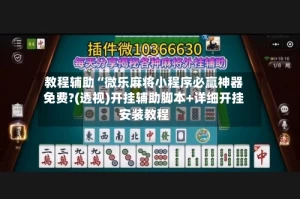 教程辅助“微乐麻将小程序必赢神器免费?(透视)开挂辅助脚本+详细开挂安装教程