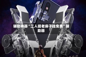 辅助神器“二人捉老麻子挂免费”辅助器