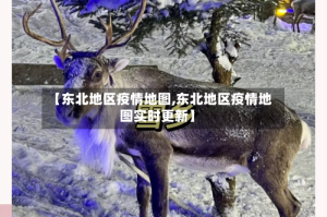 【东北地区疫情地图,东北地区疫情地图实时更新】