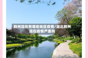荆州现在有哪些地区疫情/湖北荆州现在疫情严重吗