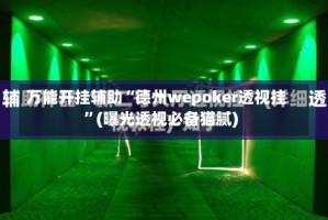 万能开挂辅助“德州wepoker透视挂”(曝光透视必备猫腻)