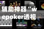 辅助神器“wepoker透视挂辅助器”(透视)详细透视辅助教程