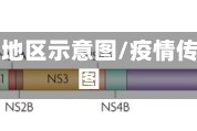 疫情传播地区示意图/疫情传播路径图