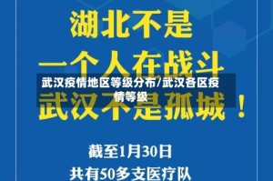 武汉疫情地区等级分布/武汉各区疫情等级