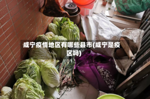 咸宁疫情地区有哪些县市(咸宁是疫区吗)