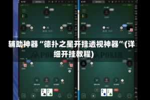 辅助神器“德扑之星开挂透视神器”(详细开挂教程)