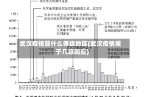 武汉疫情算什么等级地区(武汉疫情属于几级响应)