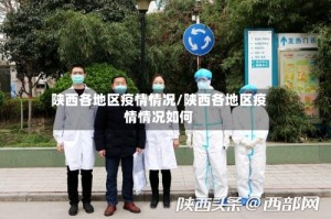 陕西各地区疫情情况/陕西各地区疫情情况如何