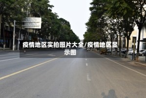 疫情地区实拍图片大全/疫情地区显示图