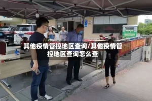 其他疫情管控地区查询/其他疫情管控地区查询怎么查