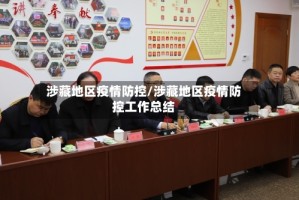 涉藏地区疫情防控/涉藏地区疫情防控工作总结