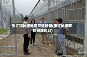 张江镇孙桥地区疫情最新(张江孙桥南区最新规划)