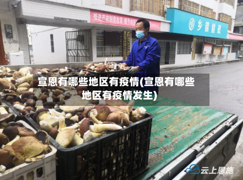 宣恩有哪些地区有疫情(宣恩有哪些地区有疫情发生)-第2张图片