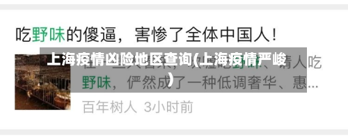 上海疫情凶险地区查询(上海疫情严峻)-第2张图片
