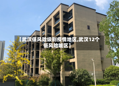 【武汉低风险级别疫情地区,武汉12个低风险城区】-第1张图片