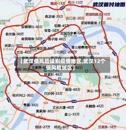 【武汉低风险级别疫情地区,武汉12个低风险城区】-第2张图片