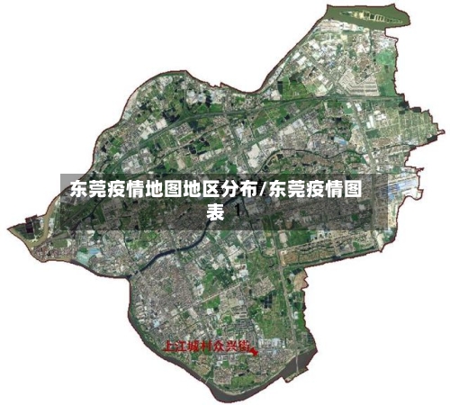 东莞疫情地图地区分布/东莞疫情图表-第3张图片