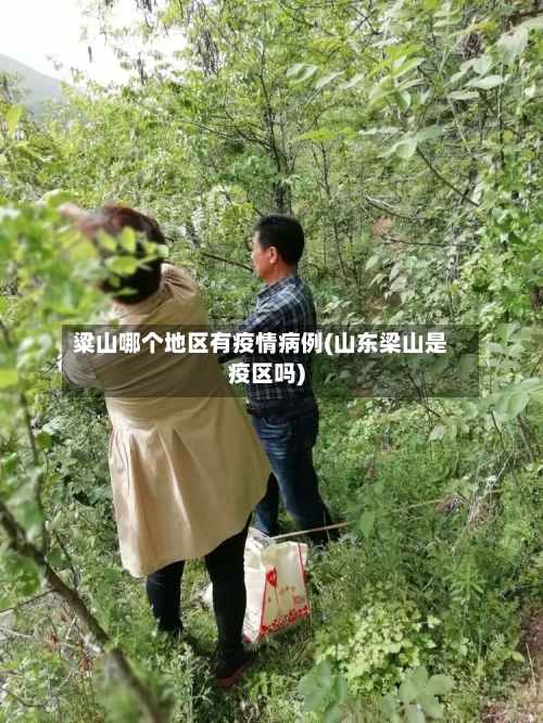 粱山哪个地区有疫情病例(山东梁山是疫区吗)-第3张图片