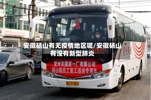 安徽砀山有无疫情地区呢/安徽砀山有没有新型肺炎-第2张图片