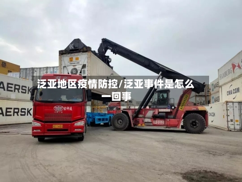 泛亚地区疫情防控/泛亚事件是怎么一回事-第2张图片