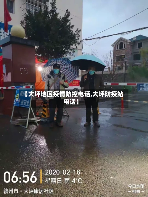 【大坪地区疫情防控电话,大坪防疫站电话】-第2张图片