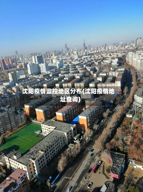 沈阳疫情监控地区分布(沈阳疫情地址查询)-第2张图片