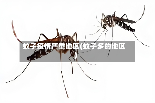 蚊子疫情严重地区(蚊子多的地区)-第1张图片