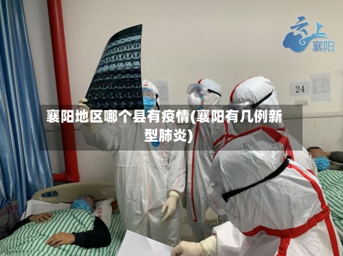 襄阳地区哪个县有疫情(襄阳有几例新型肺炎)-第1张图片