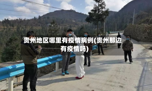 贵州地区哪里有疫情病例(贵州那边有疫情吗)-第1张图片
