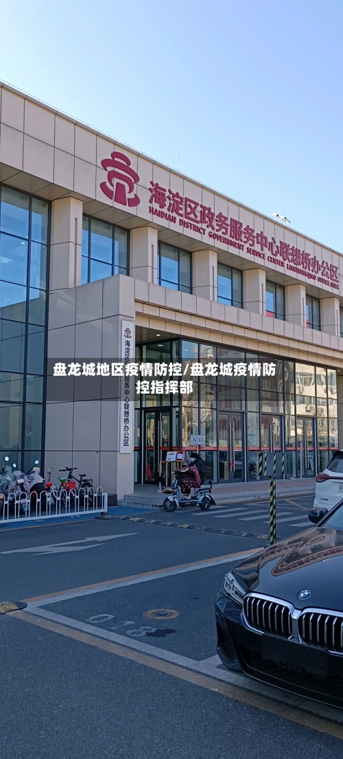 盘龙城地区疫情防控/盘龙城疫情防控指挥部-第1张图片