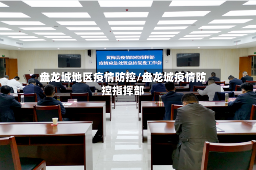 盘龙城地区疫情防控/盘龙城疫情防控指挥部-第2张图片