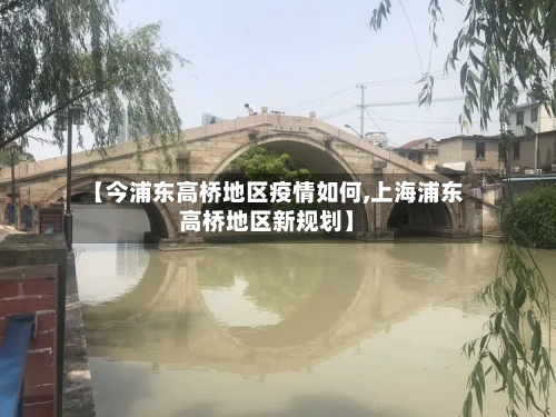 【今浦东高桥地区疫情如何,上海浦东高桥地区新规划】-第2张图片