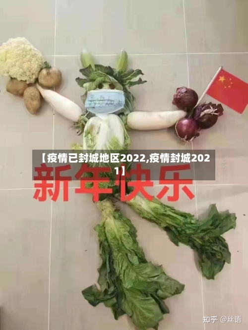 【疫情已封城地区2022,疫情封城2021】-第2张图片