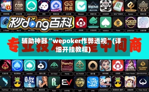 辅助神器“wepoker作弊透视”(详细开挂教程)-第1张图片